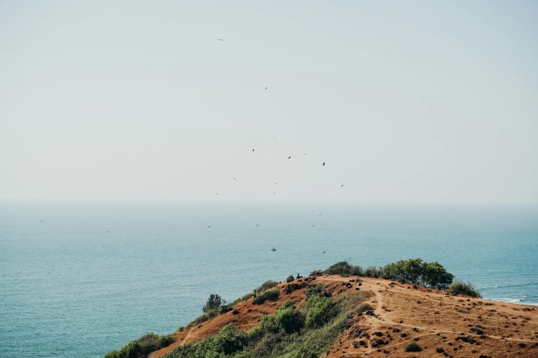 Breathtaking view of the ocean from a hilltop in Goa with birds flying overhead, perfect for travel inspiration.